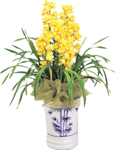 花卉租賃